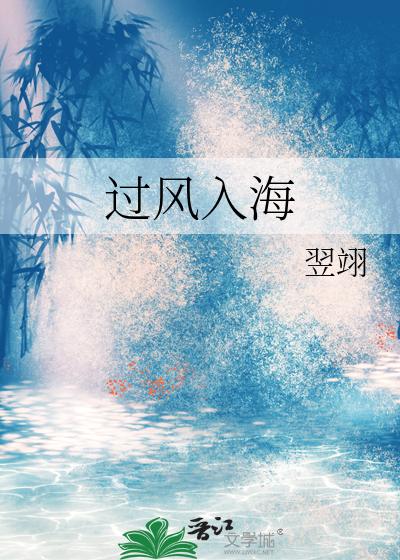 过风入海