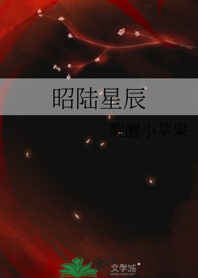 昭陆星辰