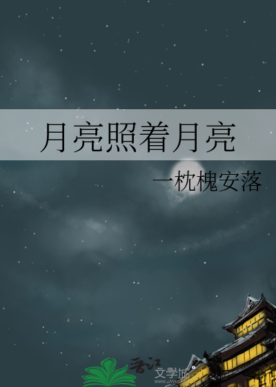 月亮照着月亮